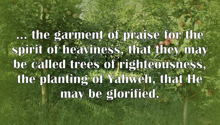 Garment of Praise